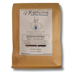 Guatemala Antigua - Medium Dark